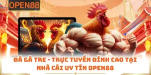 Đá Gà Tre - Trực Tuyến Đỉnh Cao Tại Nhà Cái Uy Tín OPEN88